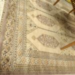 848 2185 ORIENTAL RUG